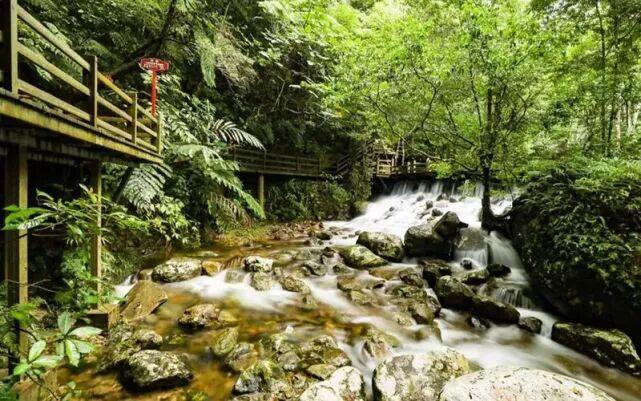 县域志第257期-海南五指山：养老旅居首选，海南五指山慢生活 - 知乎