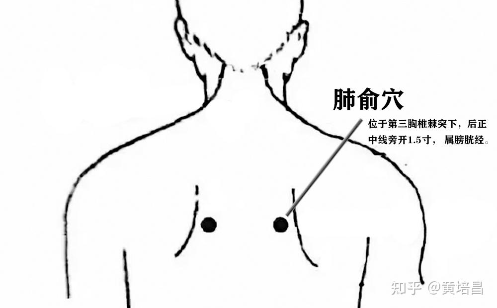 神阙的准确位置图_神阙天突准确位置图和功效_通天的准确位置及功效