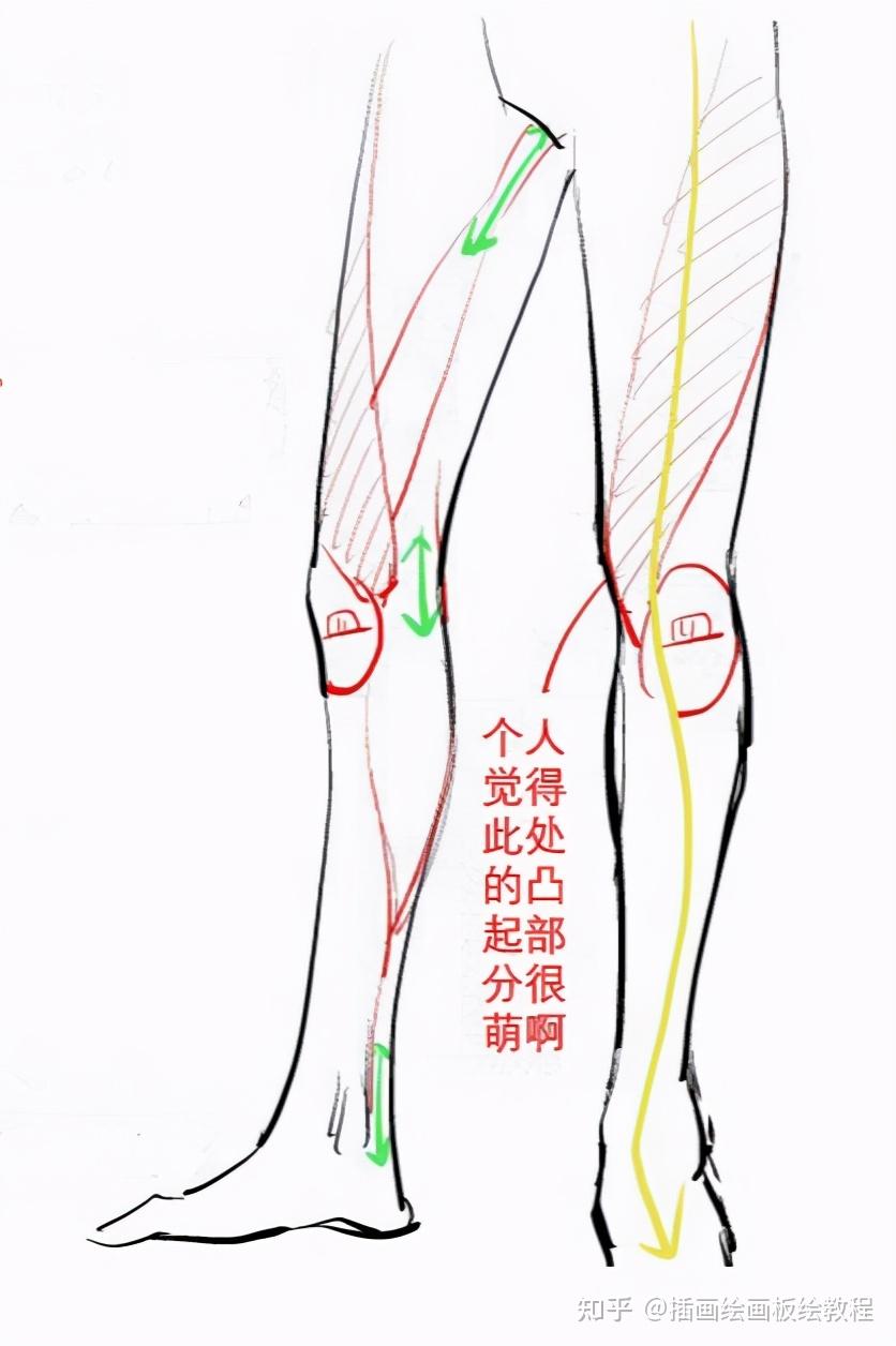 繪畫教程新手如何練習畫腿腳動漫人物腿腳畫法步驟詳解