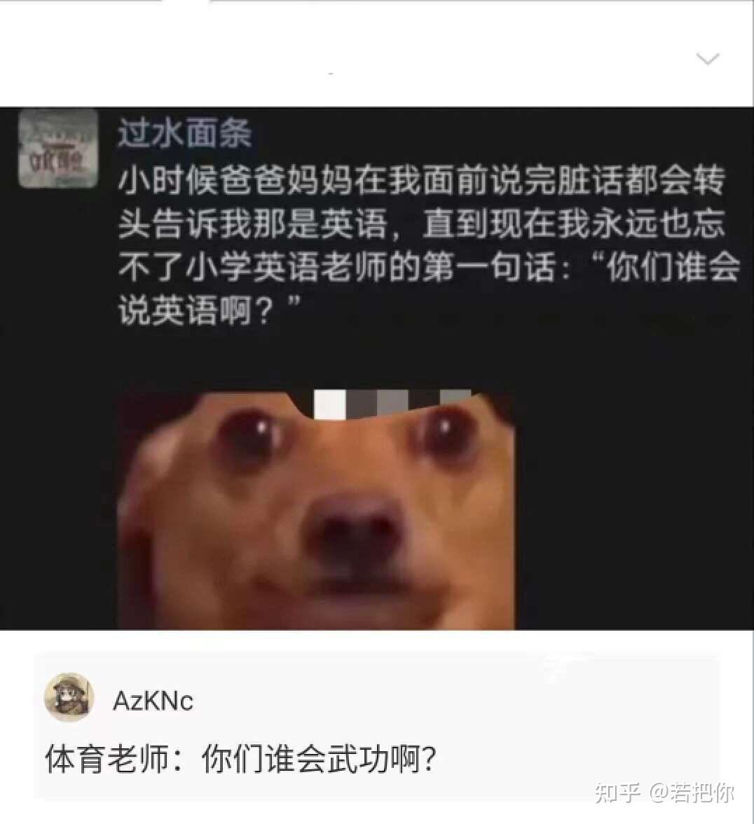 那些搞笑的图片和段子 - 知乎