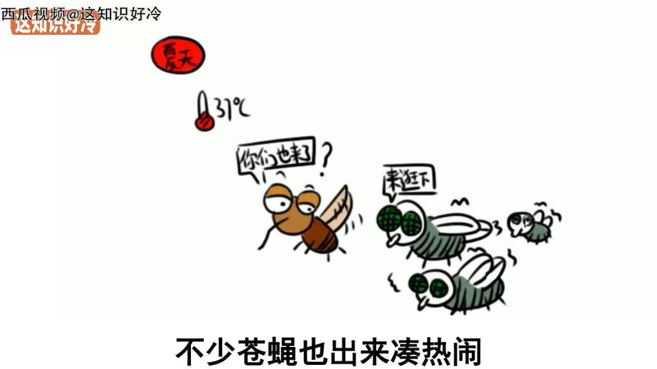 冬天苍蝇和蚊子去哪了?都被冻死了吗?