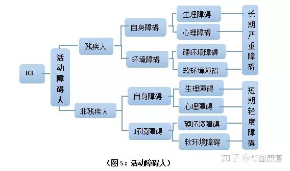 康复科学的理论支撑 Icf 知乎