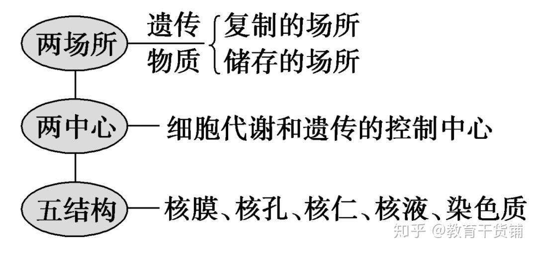 细胞存储机构