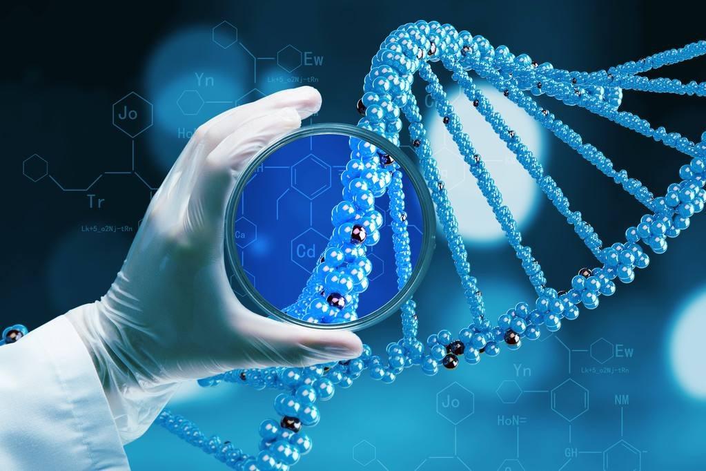 澳大利亚工程本科留学悉尼大学化学和生物分子荣誉工程学士分析