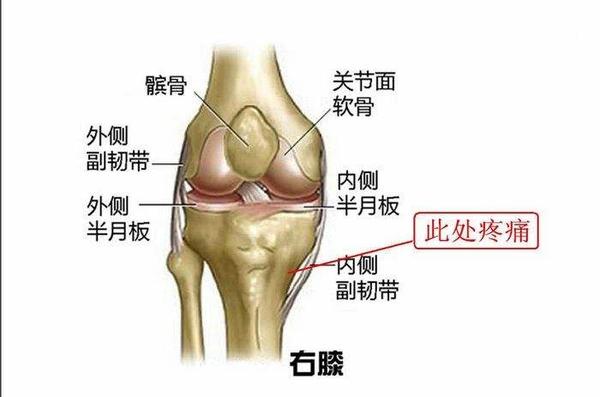 错误的爬楼梯方式会伤到膝盖哪呢