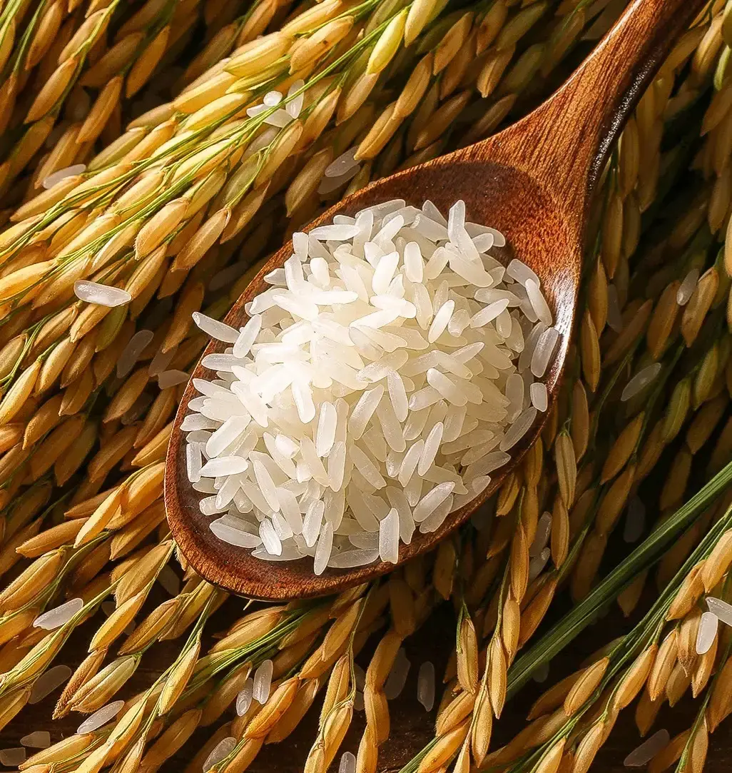 长寿山东北有机大米测评:安全,美味,优质,吃出健康好生活