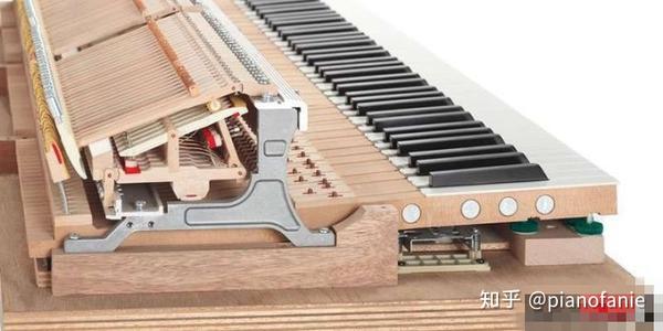 电钢琴和键盘的区别