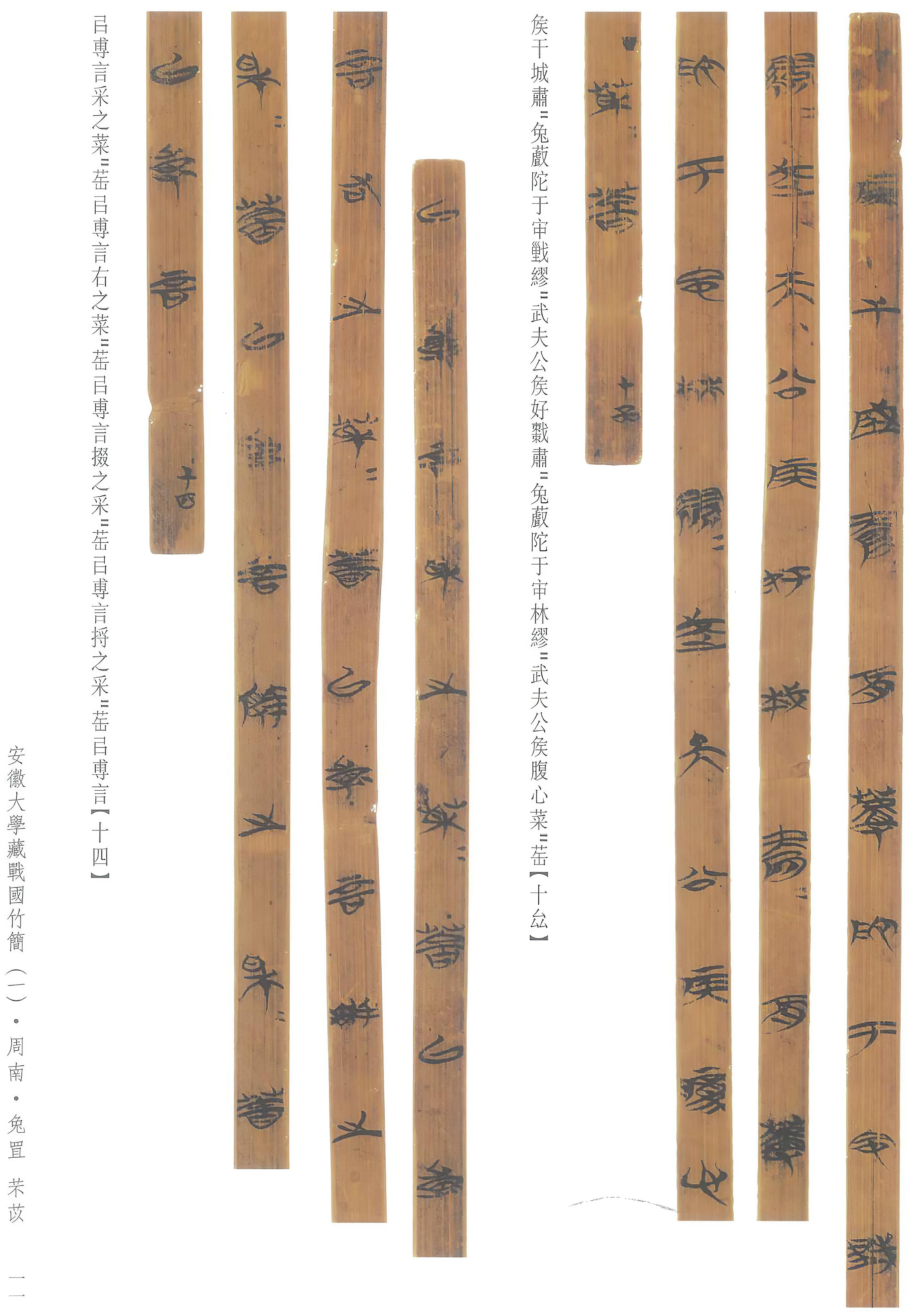 安大简诗经64国风64周南芣苡