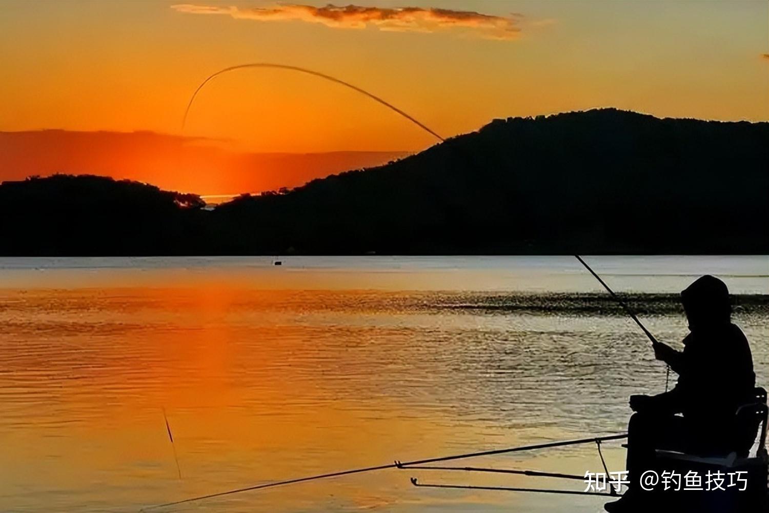 2019年济南市第三十届钓鱼比赛在天天渔钓鱼基地完美落幕 - 天天渔 - 有了天天渔 天天都上鱼