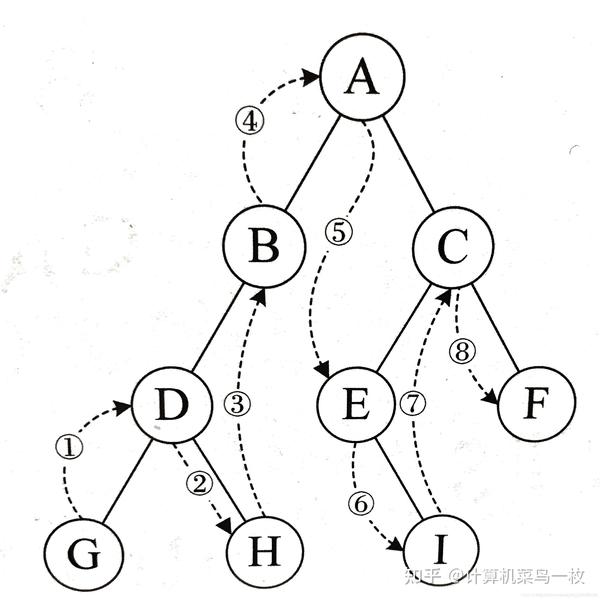 数据结构之树的入门 知乎