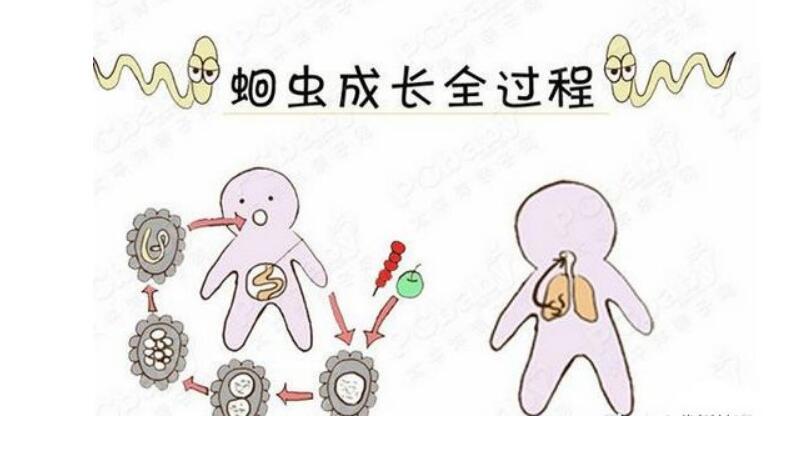 v2-5e365afa421b7bfc98ba96a3dd64013a_1440w.jpg?source=172ae18b