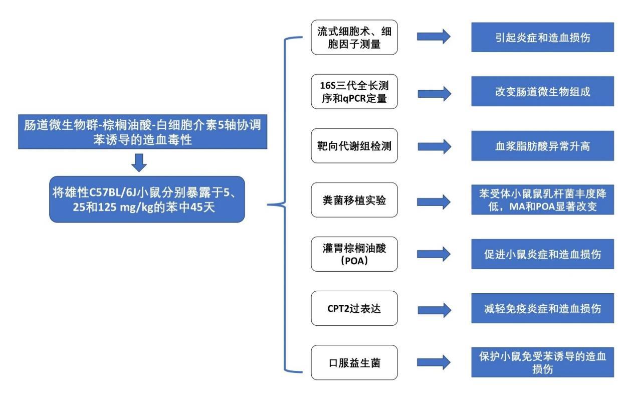 2024年度项目总结报告：顶刊佳作云集，邀您共赏高分研究范例- 知乎