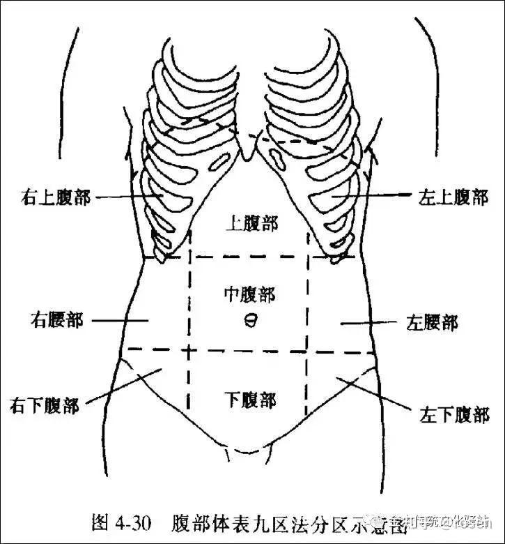 中医腹诊(建议收藏)