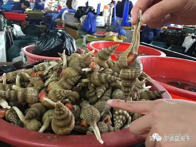 著名螺类食材大全，你吃过几种呢？ - 知乎