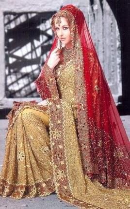 纱丽的正确打开方式 知乎