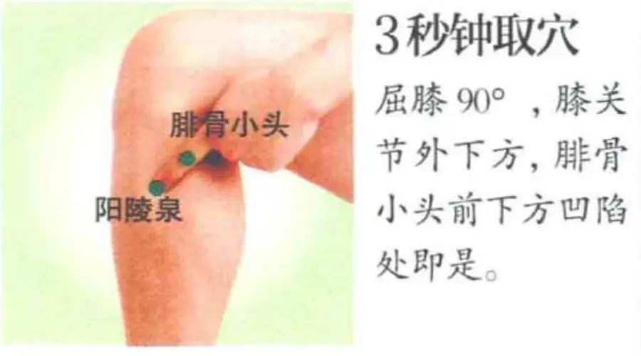 太冲穴「位置」:第1,2跖骨之间跖骨结合部前方,可感有一凹陷处,即为本