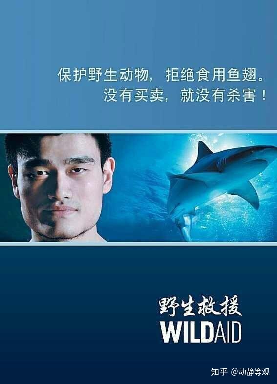 然后这类广告铺天盖天的在各种媒体传播.