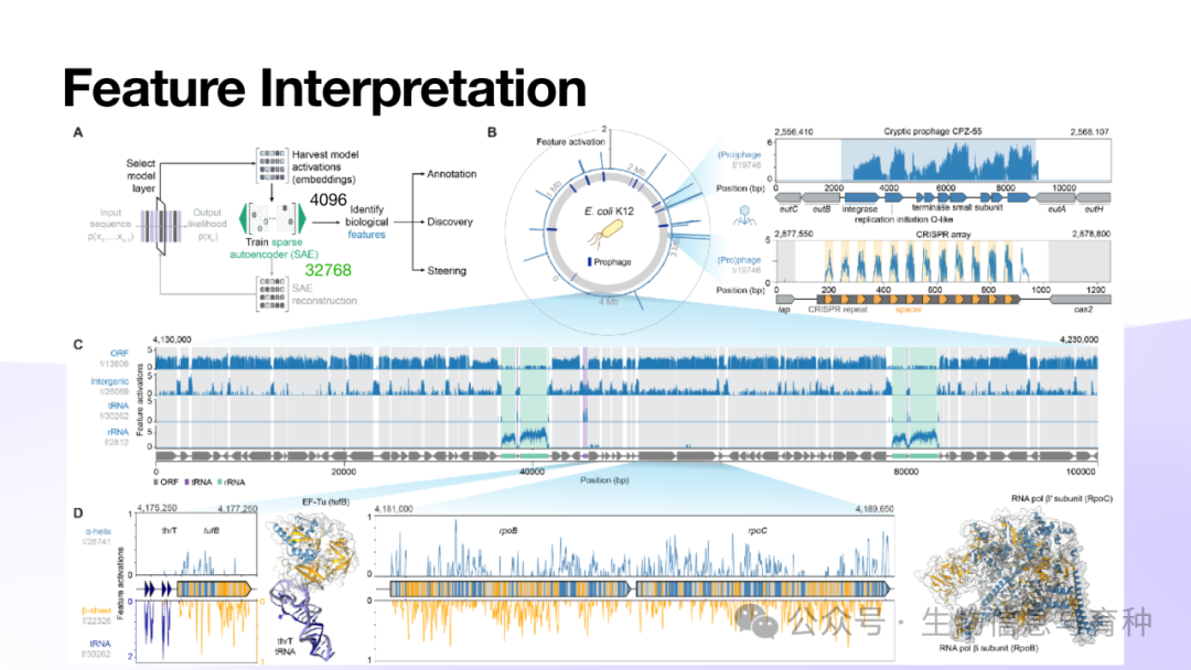 《Evo2: 生命科学基础大模型》报告PPT - 知乎