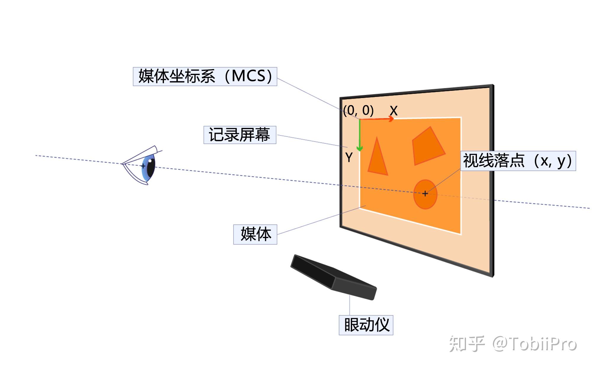 初识眼动眼动仪的工作原理