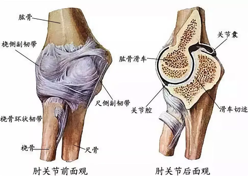 干货如何避免超伸附私教矫正秘籍