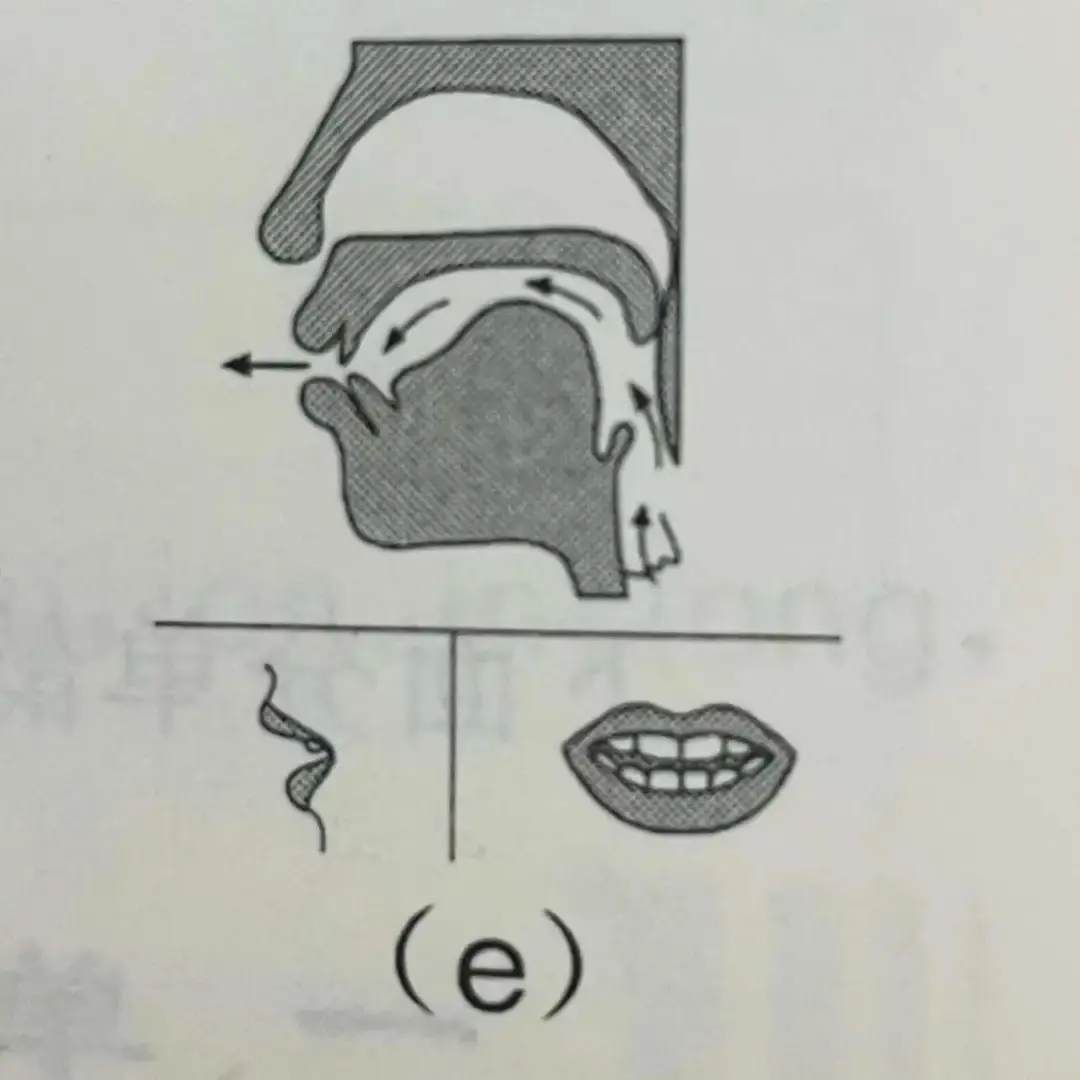 唇形不同e和o的发音辩证