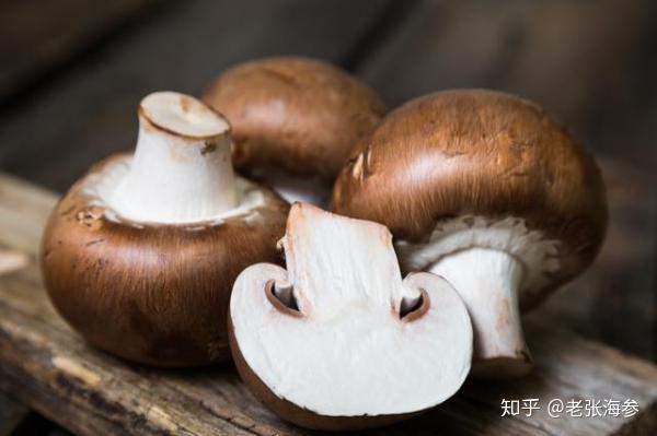 手术后能吃芒果吗 v2-5e8ed9379cc2ab4f084660fd78204659_r.jpg