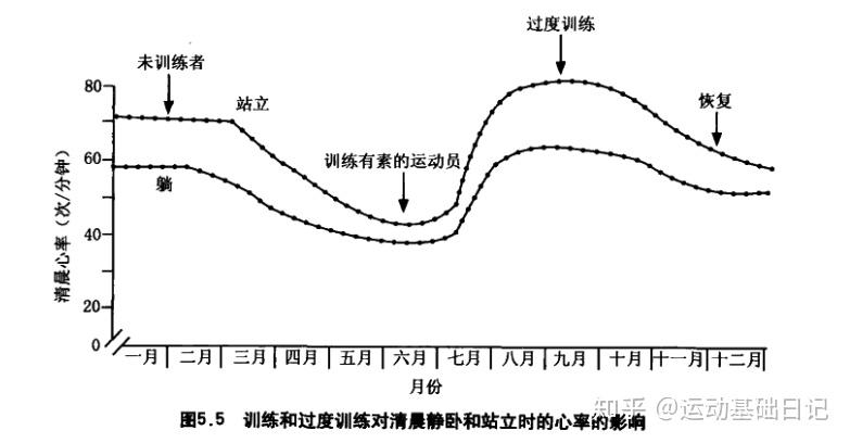 周期运动训练理论与方法15休息与恢复