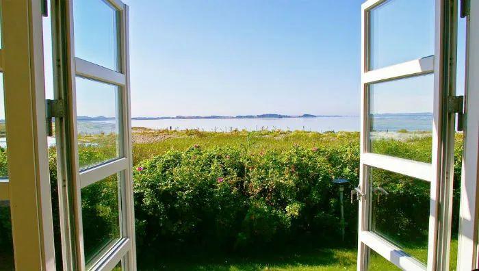 打开窗户赶走苍蝇