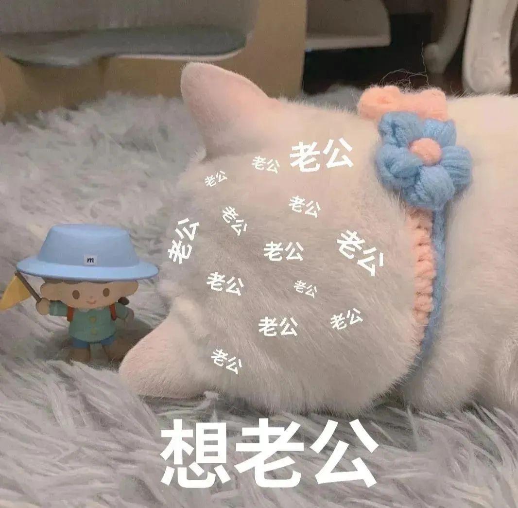 120张万能的表情包推荐-万能表情图片大全