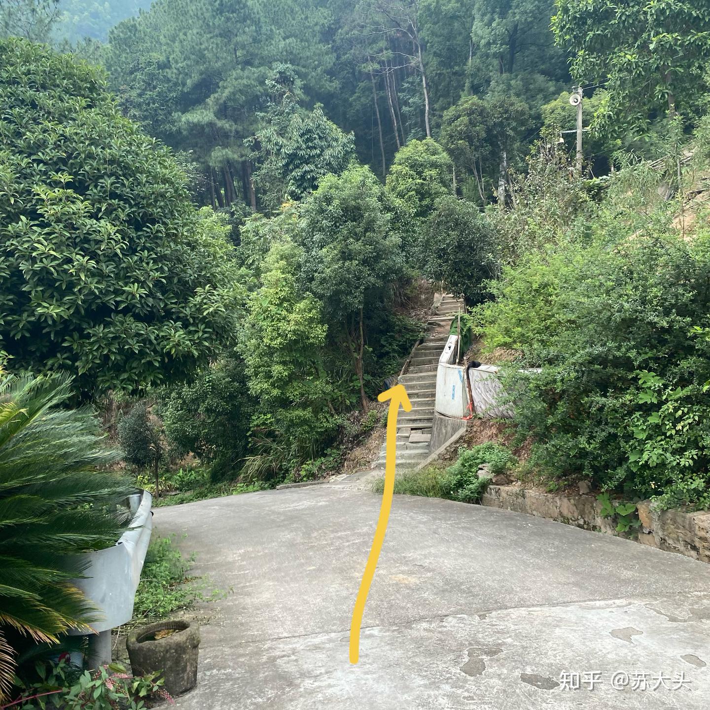 重庆徒步爬山圣地：缙云山免门票上山详细路线指引 - 知乎
