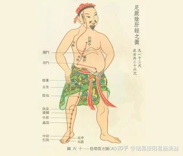 人体经络知识大全，知道越多越接近健康！ 知乎 