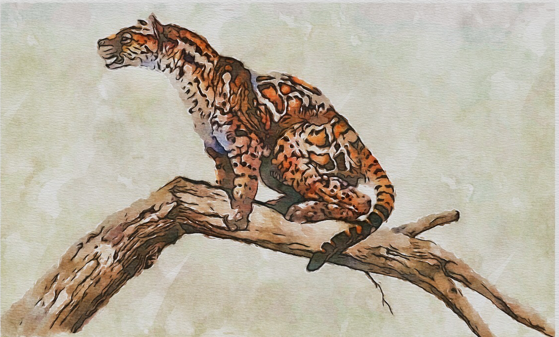 原猫是最早出现的猫科动物,又名始猫和原小熊猫,是所有猫科动物的祖先