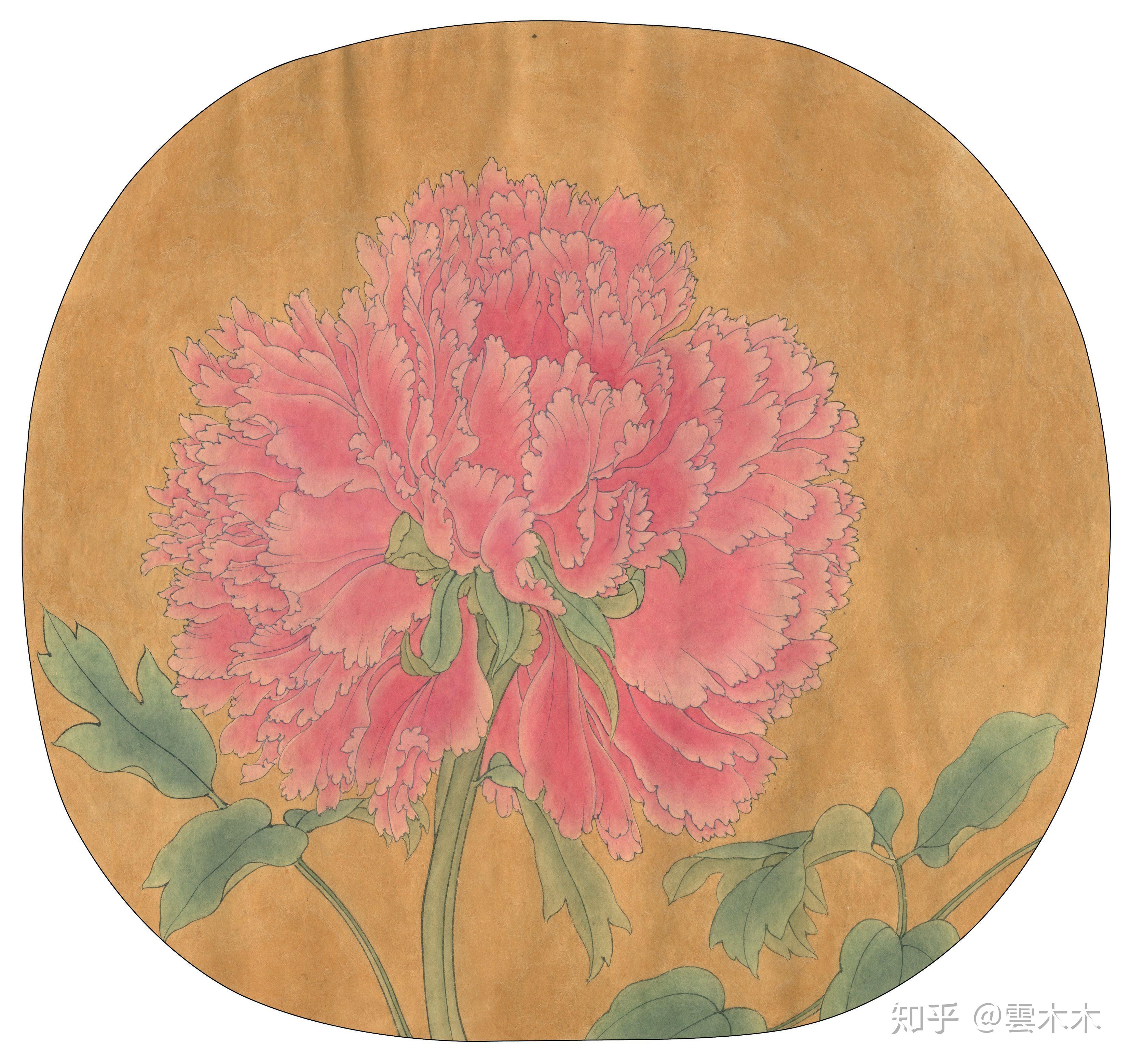 宋小品国画工笔,绘画步骤图《品字牡丹图 》 尺寸:33×35cm - 知乎