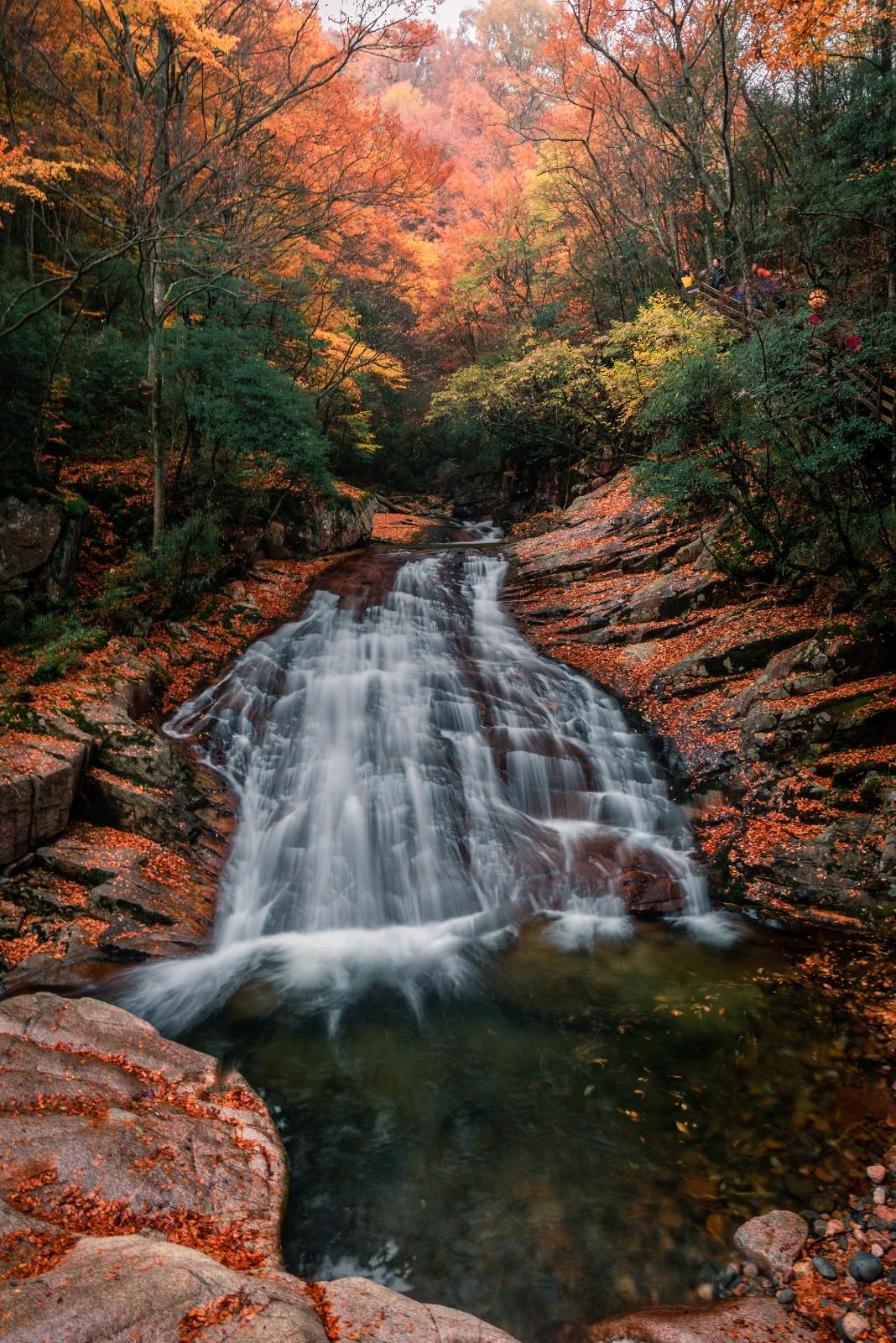 光雾山赏秋最全指南!带你领略“中国红叶第一山”的红叶盛宴