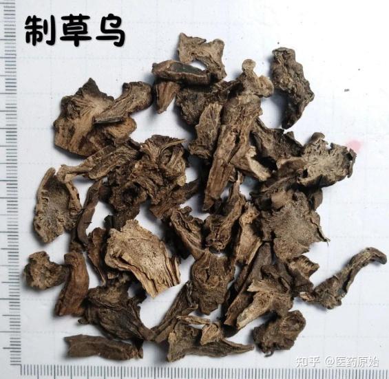 制川乌性状川乌炮制过程制川乌川乌,草乌,附子的图文鉴别(二)川乌