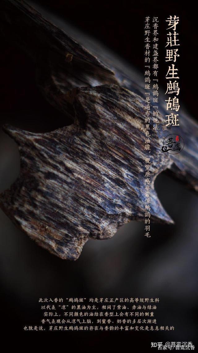 鹧鸪斑沉香的形成过程