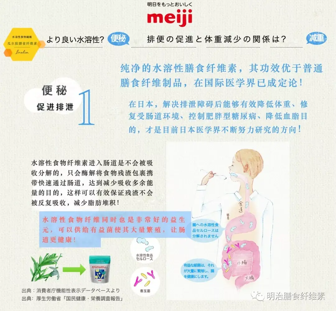 说说你不知道的肠道健康与免疫力的关系