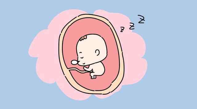 嘘 听 是宝宝的告白 知乎