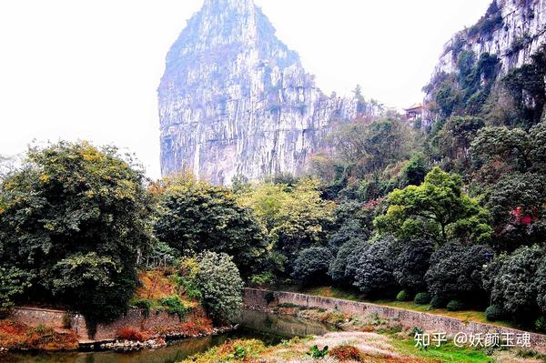 桂林阳朔山水_什么山水甲桂林那里有_桂林山水介绍