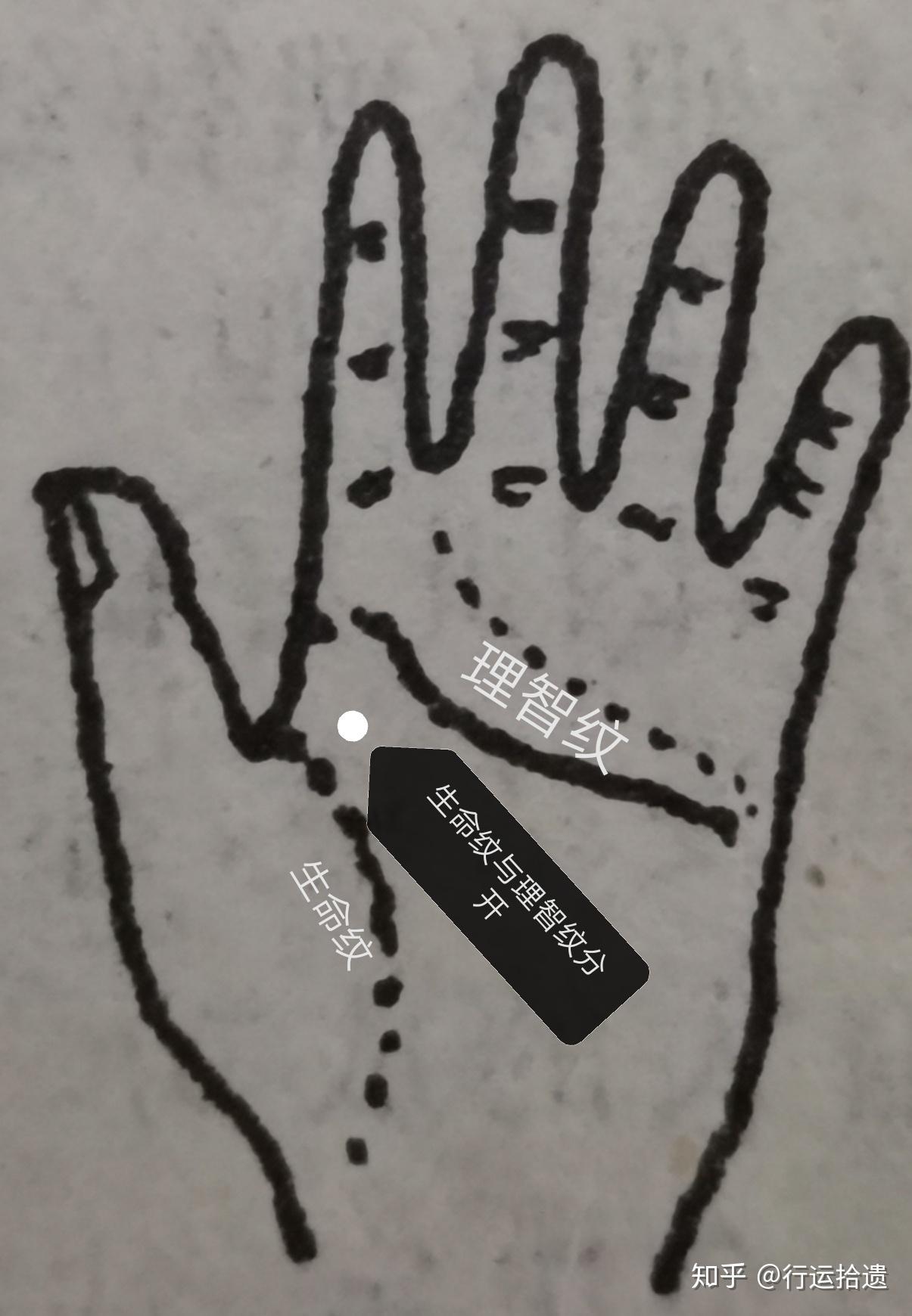 女相掌纹篇之理智纹