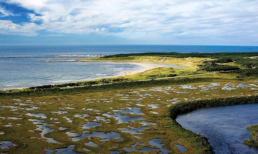 加拿大的渔业中心纽芬兰