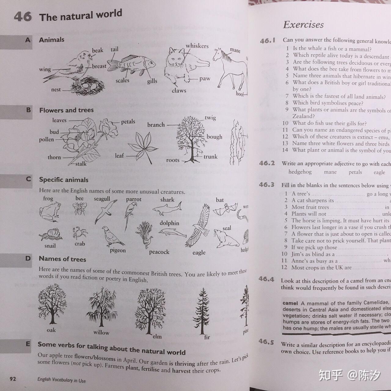 什么是抽象名词英语 v2-5f2e121a6279e1c3f0401b49e44a4925_r.jpg