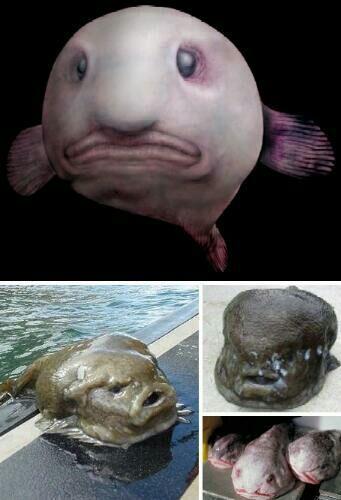 天马行空我最动容