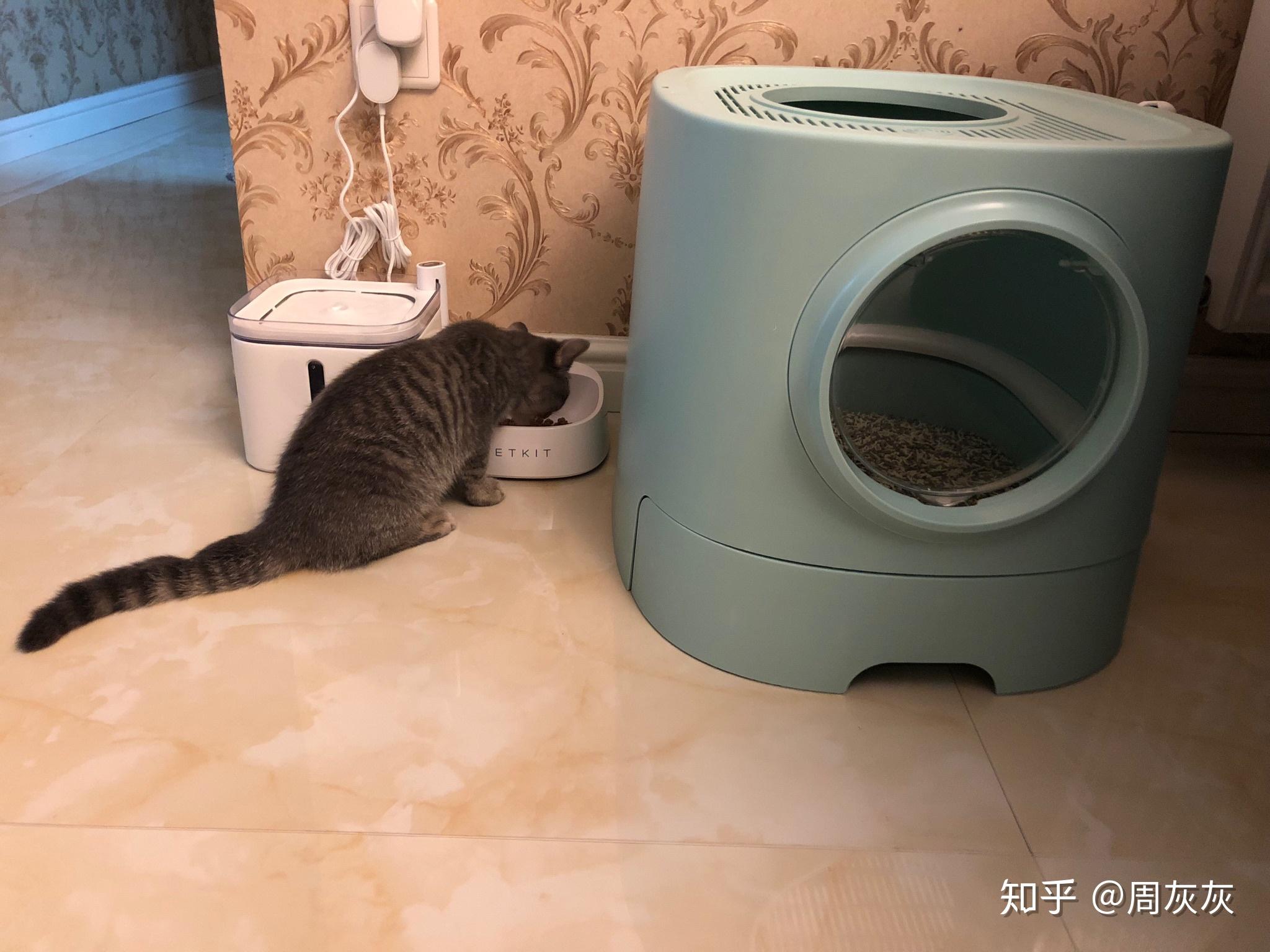 满满干货(铲屎要注意什么事项)铲屎要注意什么细节,(图12) 满满干货(铲屎要注意什么事项)铲屎要注意什么细节,(图12)