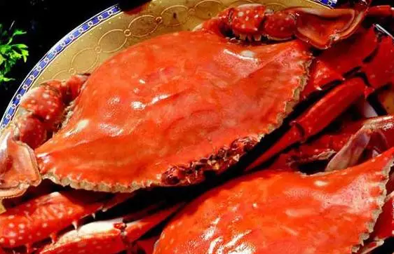 菊花开闻蟹来金秋吃螃蟹这样才够味