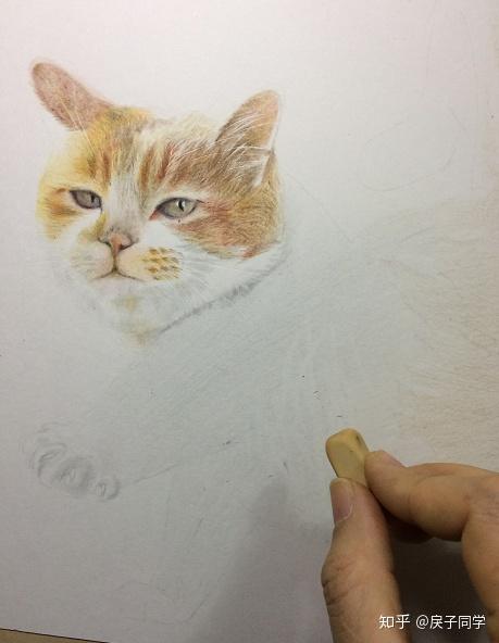 彩铅超写实白色黄色猫咪毛发技巧