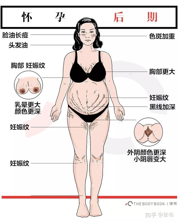 为了成为妈妈 她失去多少美 知乎