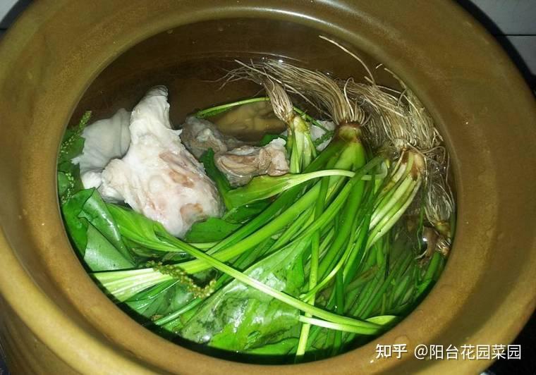 9种常见的野菜,比青菜还好吃,解腻又养人,看见别错过-几种常见野菜图片