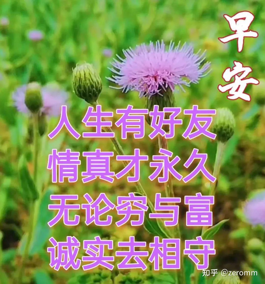 朋友圈清晨早安问候祝福图片带字精选，漂亮的早安问候祝福语动态美图_腾讯新闻