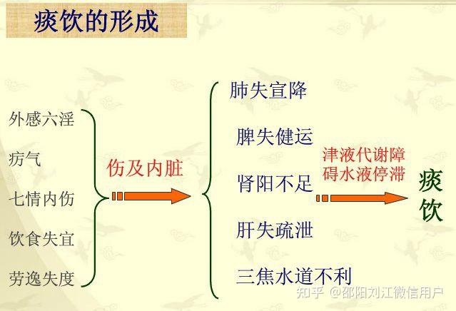 中医病因学说:水湿痰饮〈38〉